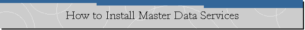 How to Install Master Data Services