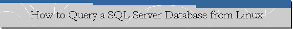 How to Query a SQL Server Database from Linux