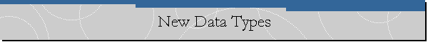 New Data Types