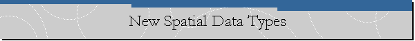 New Spatial Data Types