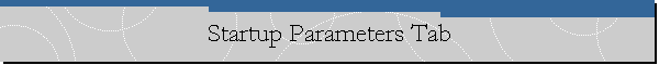 Startup Parameters Tab