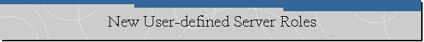New User-defined Server Roles