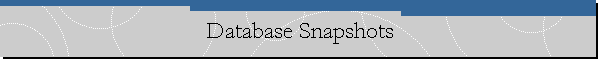 Database Snapshots