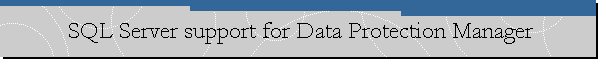 SQL Server support for Data Protection Manager