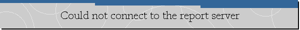 Could not connect to the report server