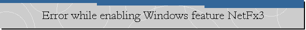 Error while enabling Windows feature NetFx3