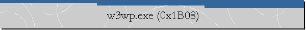 w3wp.exe (0x1B08)