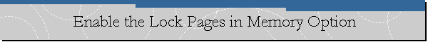 Enable the Lock Pages in Memory Option